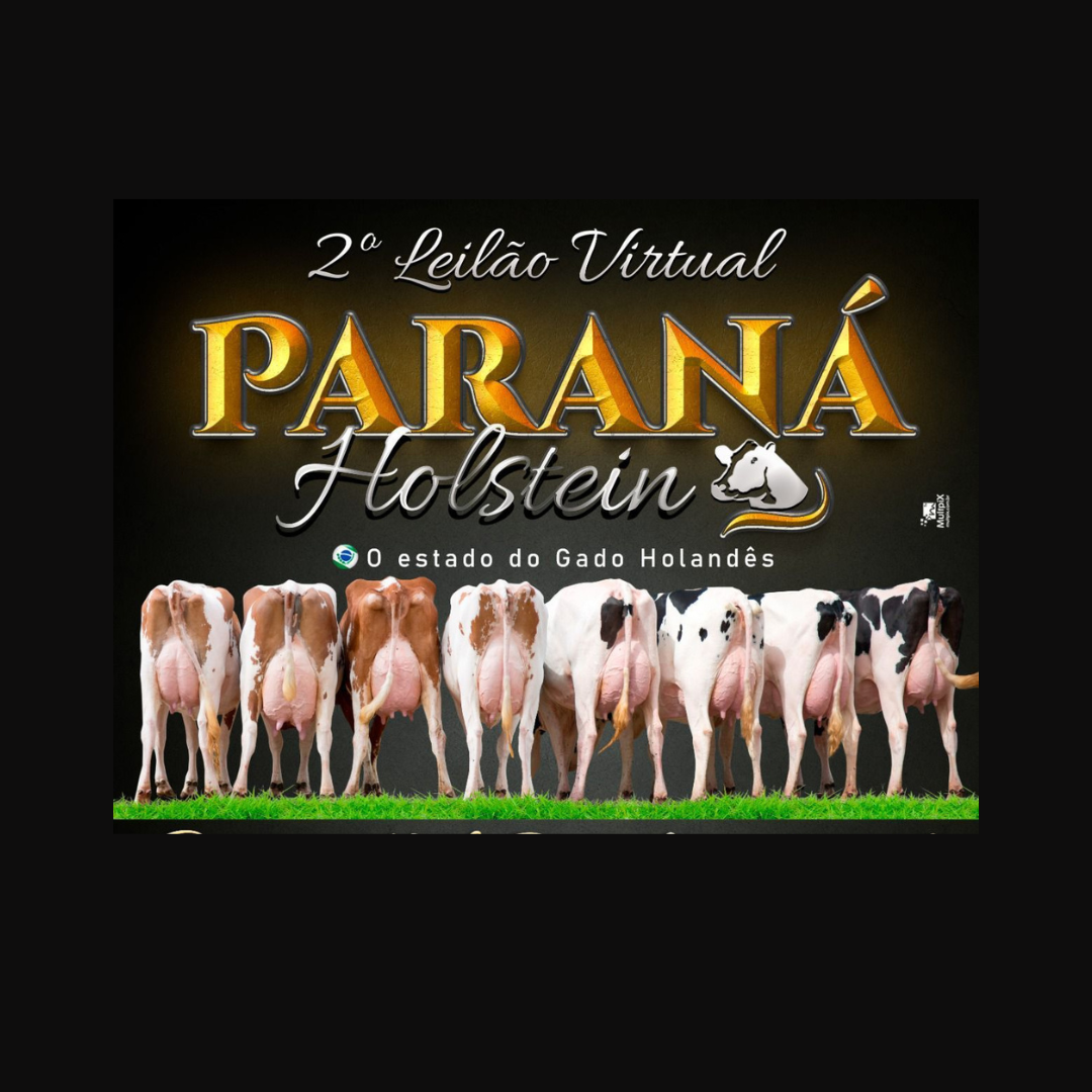 Não Perca: 2º Leilão Virtual Paraná Holstein 